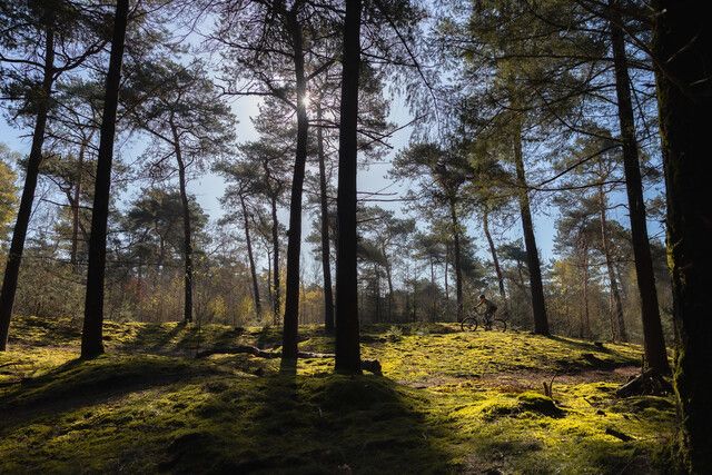 1 mountainbiker op het parcours van Walsberg Deurne