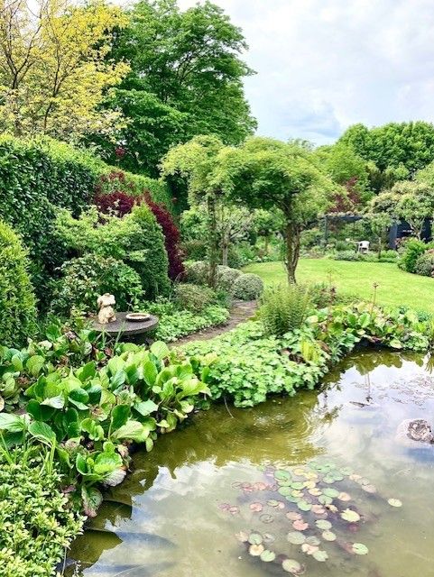 Tuin in volle bloei met vijver aan de voorgrond