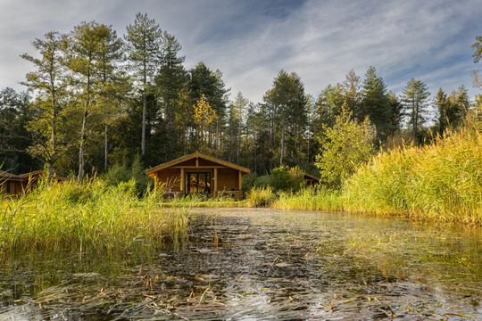 Een bungalow op het terrein van Recreatiepark de Voorst