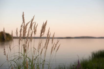 Film over De Kleine Dommel