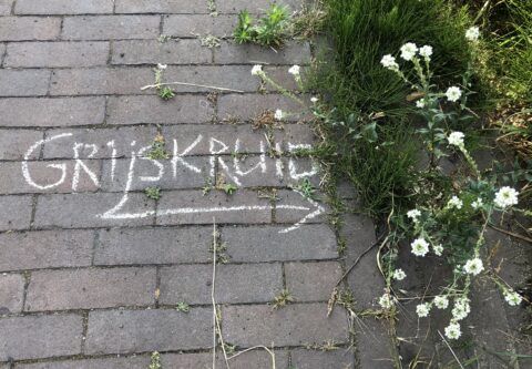 Stoepplantje krijten