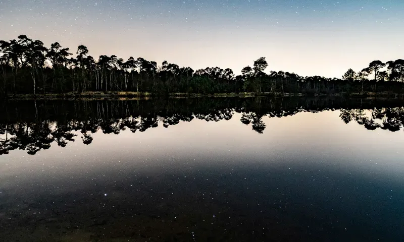 Avondfoto van een deel van de Oisterwijkse bossen met op de voorgrond een van de vennen.