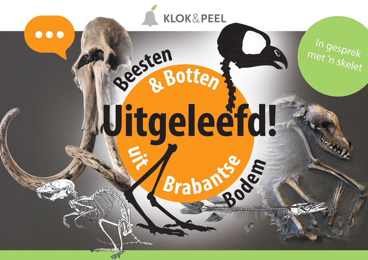 Visual UITGELEEFD! Beesten & Botten uit Brabantse Bodem