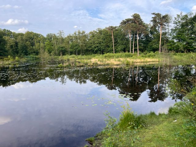 IVN/KNNV-wandeling | Wat de herfst ons brengt