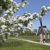 Speurtocht over het museumterrein