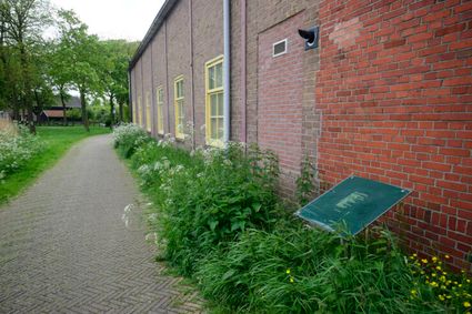 Fryske Fersepaad