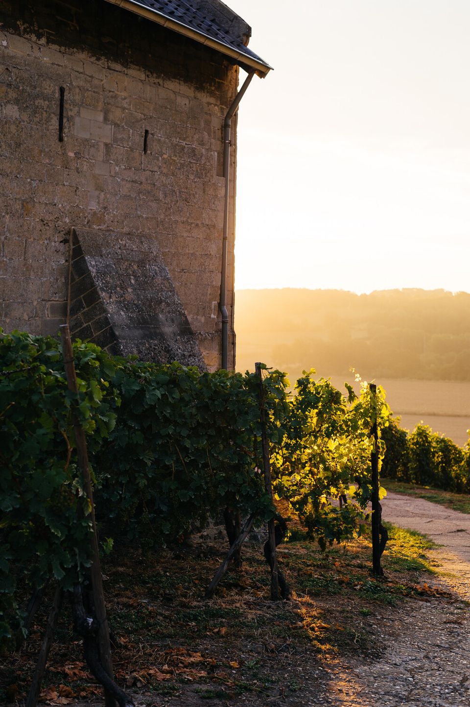 Apostelhoeve vineyard building