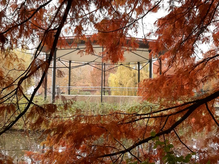 Muziektuinconcerten Beek en Donk