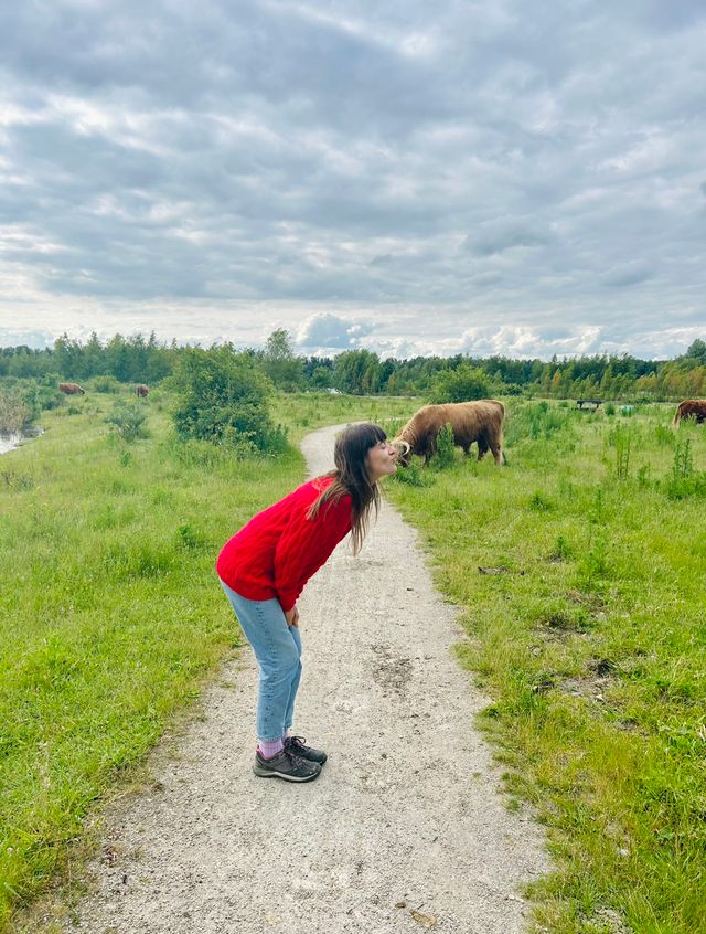 Vrouw kust Schotse Hooglander - Goed Leven