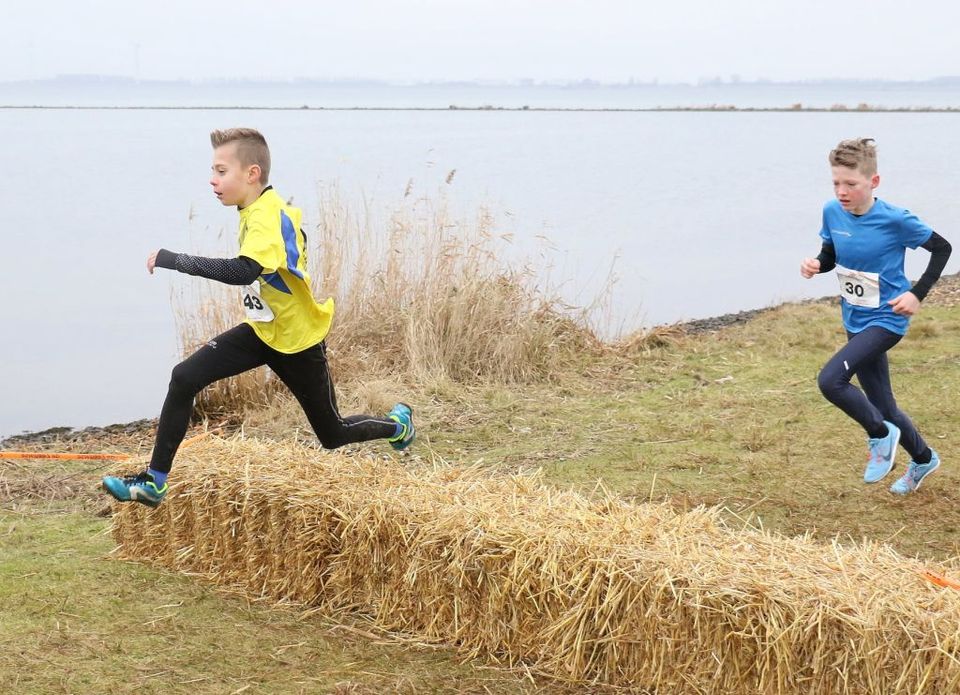 Grevelingencross