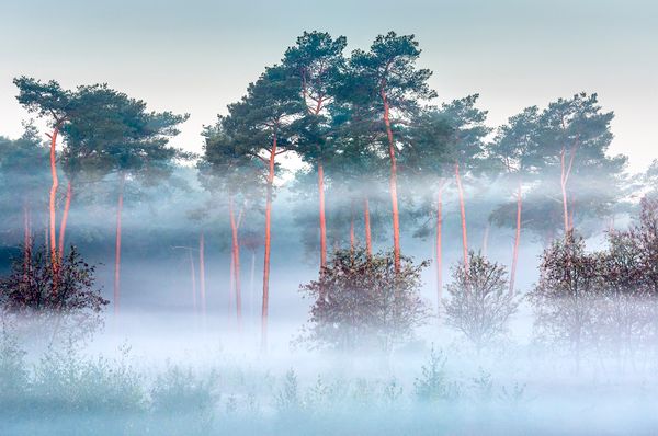 lezing-de-natuur-rondom-gemeente-best-door-de-lens-van-bas-van-laarhoven