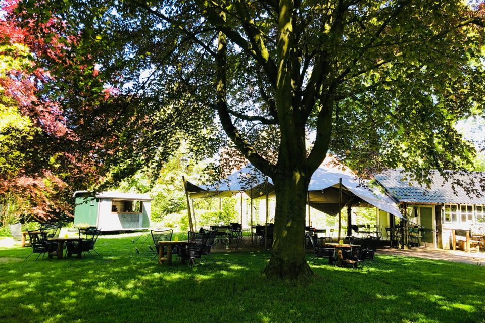 Een terras naast een hele grote boom.