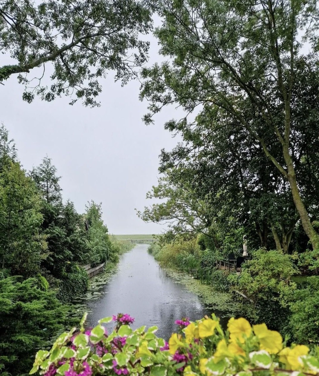 Doorkijk bij Gaast