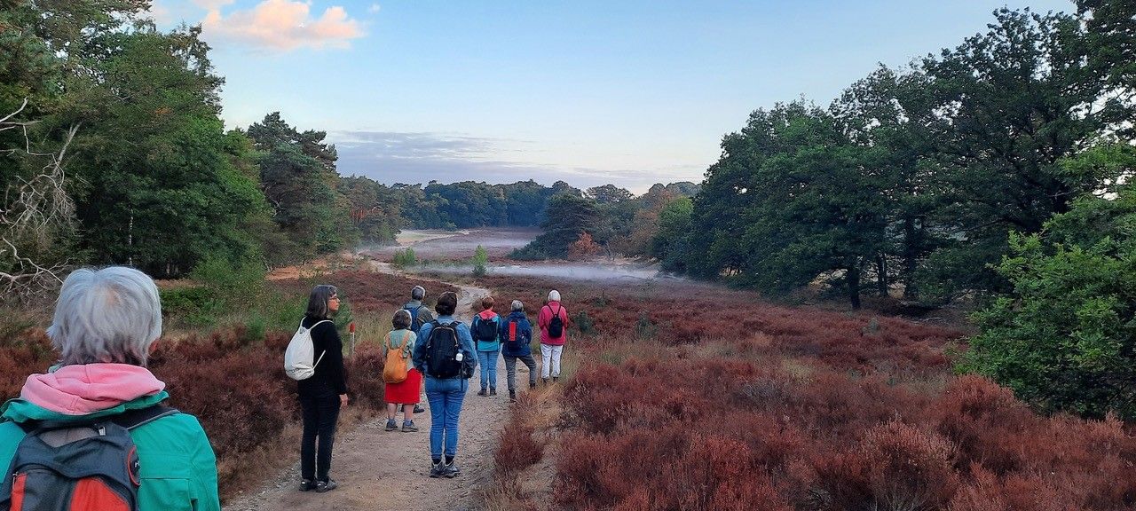 Vroege ochtendwandeling