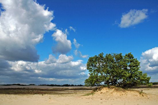 Natuurpoort van Loon | VisitBrabant