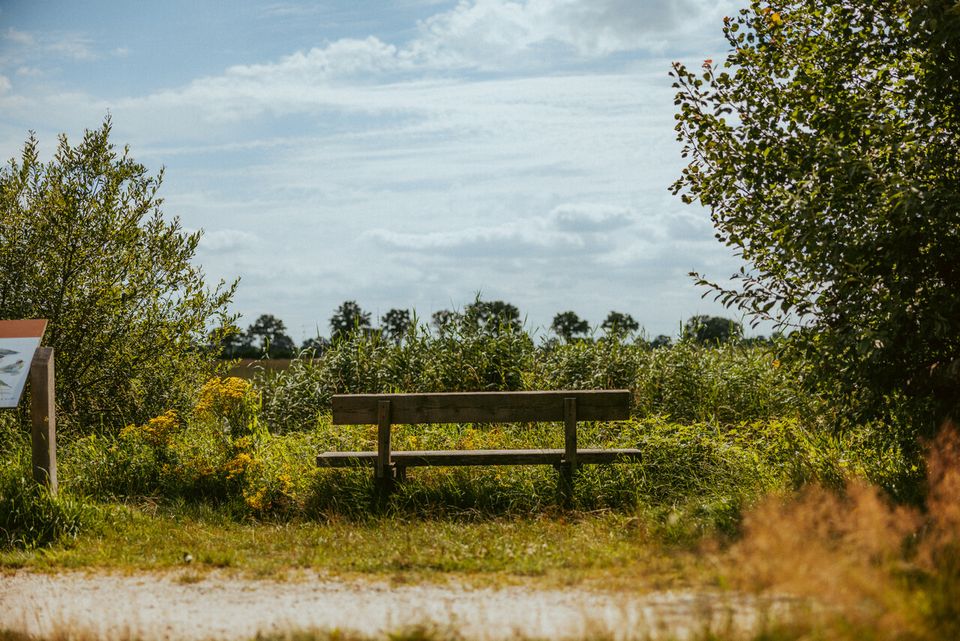 Bankje met uitzicht op ven in Groote Peel