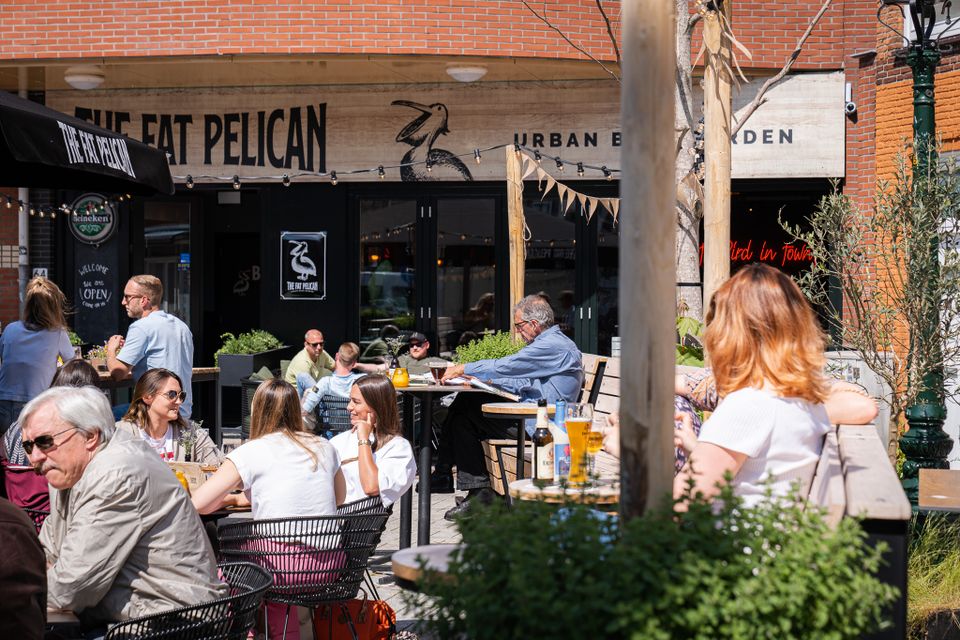 Fat Pelican - terras