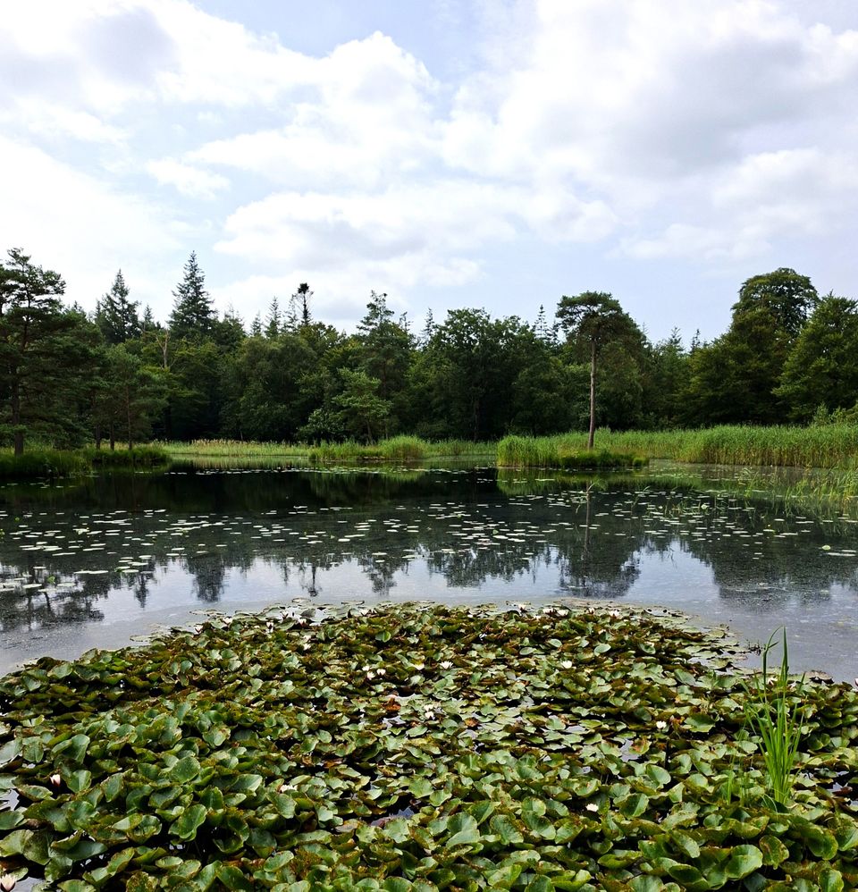 Donkerbroek-Drachten | Canadian Trail Oost-Fryslân: Etappe 2