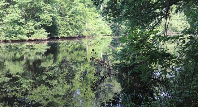 Ommerschans water