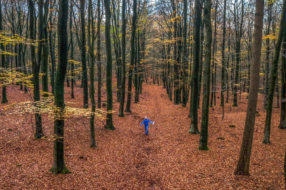 Herfst - Gemeente Brummen