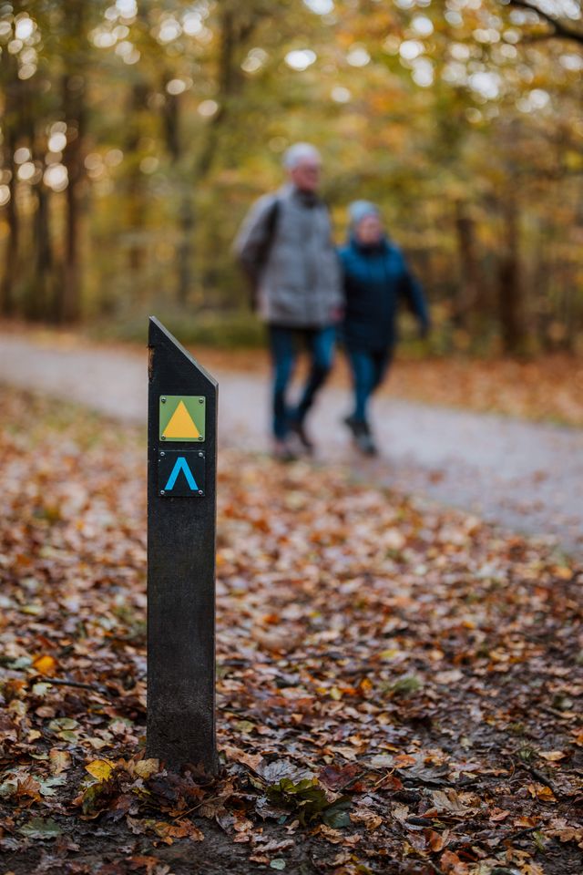 Wandelknooppunt paaltje in een herfstig bos