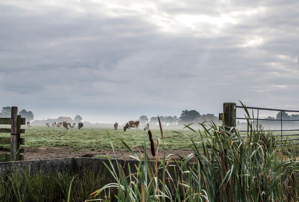 Fietsroute Sneekermeer Kort