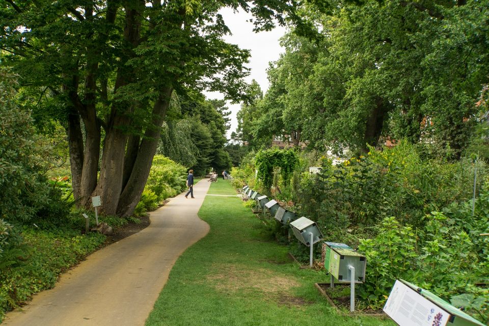 Systeemtuin