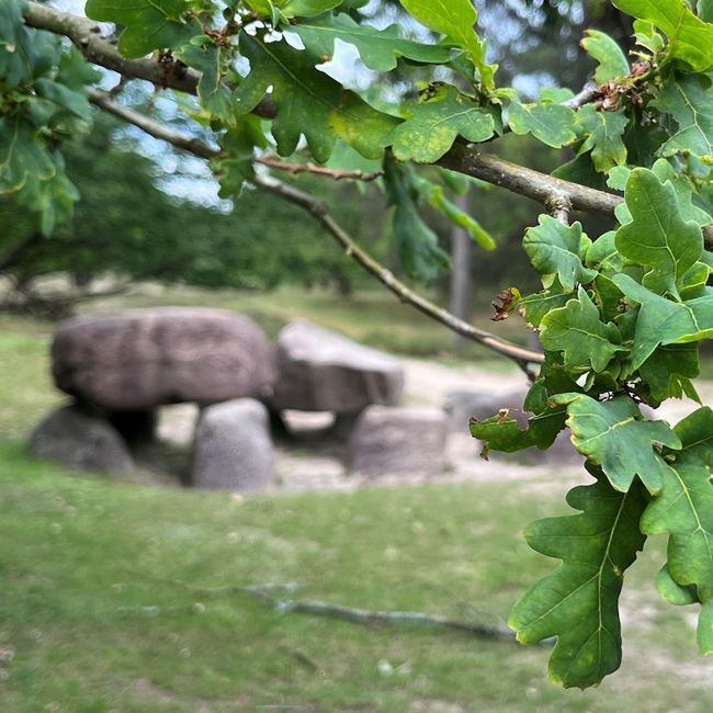 Dag van het Hunebed – Stiltewandeling Gasteren