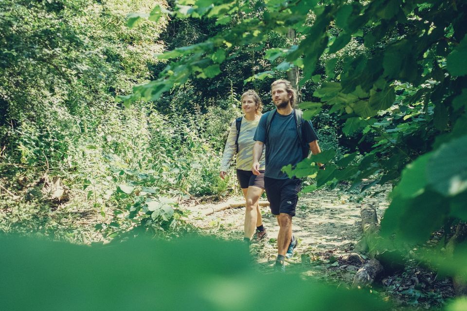 Wandelen in Almere natuur bos
