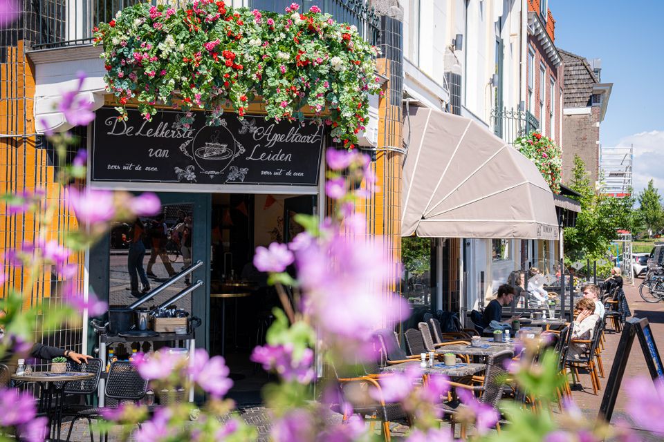 Terras