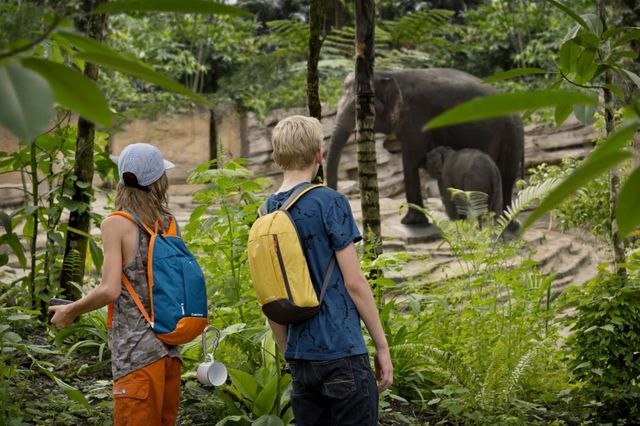 Ein Junge und ein Mädchen schauen sich einen Elefanten an.