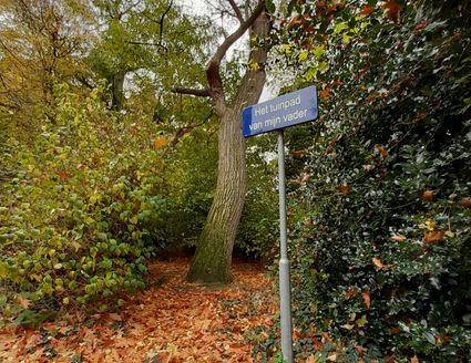 My father's garden path in Deurne