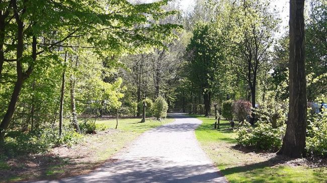 Camping De Ruimte - Photo 2