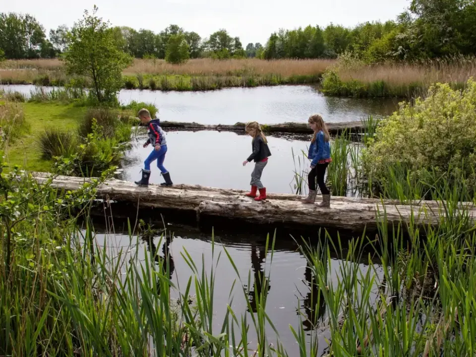 Pettebosk spelende kinderen