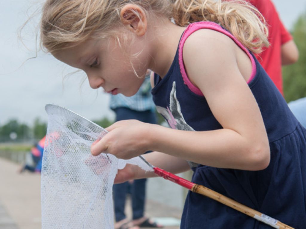 Een meisje kijkt in haar schepnetje