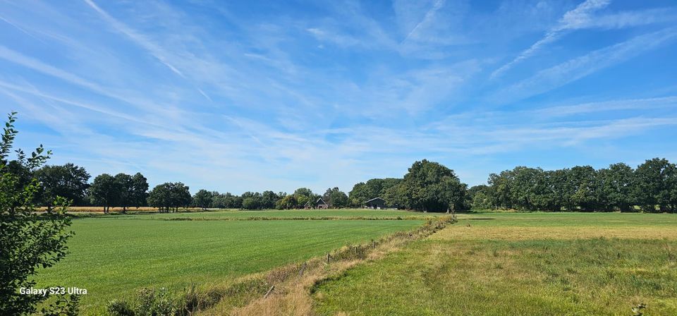 Open huis | World Peace Stupacenter