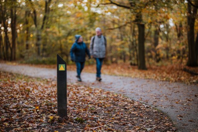 Twee mensen wandelen in het bos tijdens de herfst.