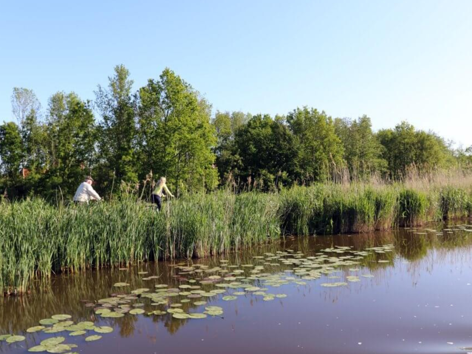 Natuurgebied die je tegenkomt tijdens de trekvaartenroute