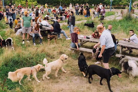 Wandelclub der Stadslezers
