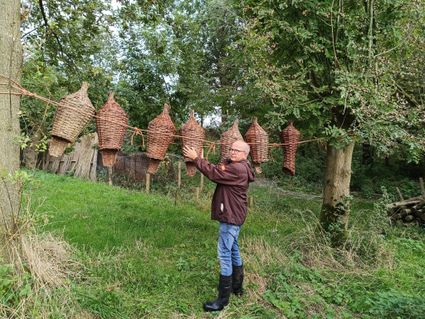 Historische eendenkooi, gids Johan Hanko, Blokland, Montfoort, Groene Hart. Gids toont gevlochten broedkorven die tussen de bomen hangen, onderdeel van de traditionele inrichting van een eendenkooi in een groen natuurgebied.