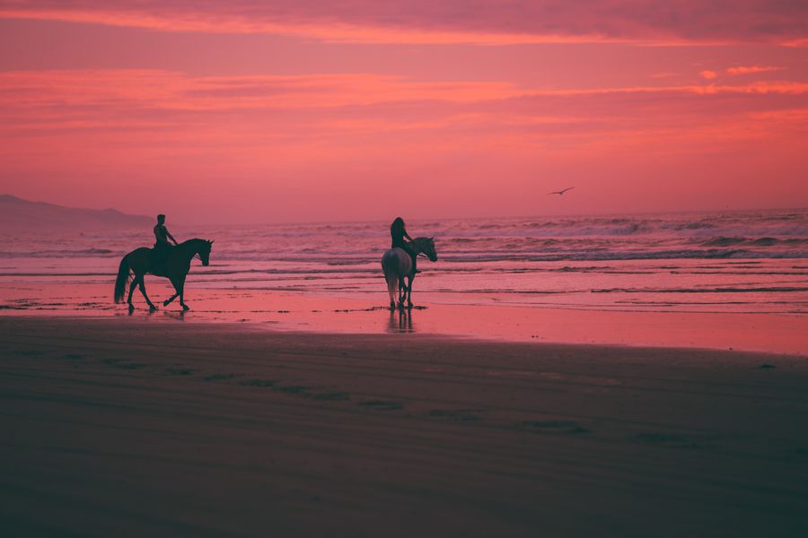 Buitenrit paardrijden tijdens zonsondergang op Terschelling