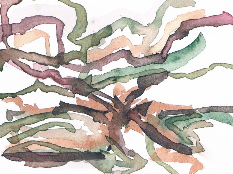Annemieke Harkema; De Deelen, 2024, aquarel