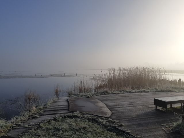 Vogelrijk natuurgebied Reusel