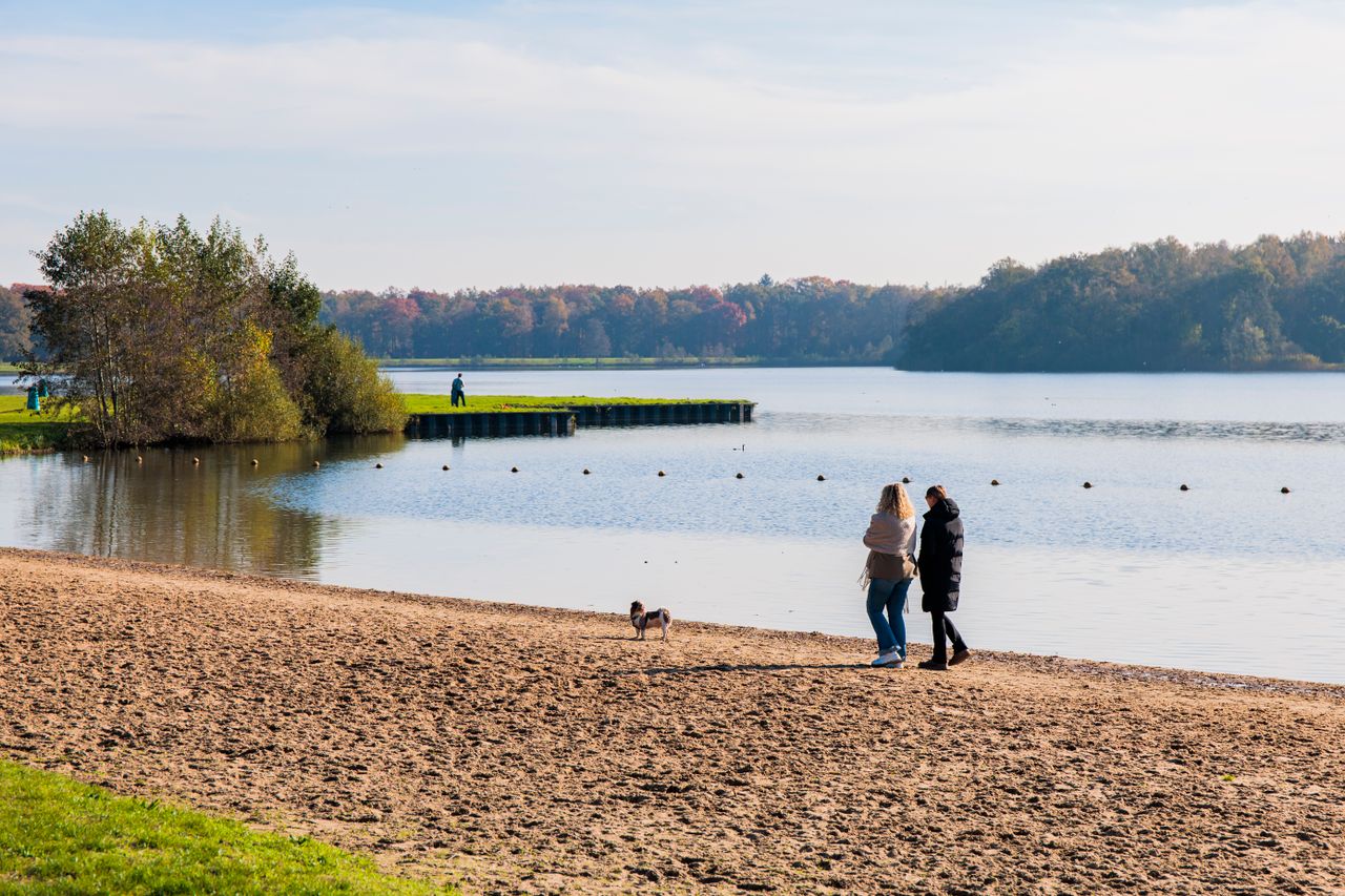 twee vrouwen wandelen met een hond op strand
