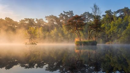 Diaconieven in Oisterwijk met de twee eilandje in de vroege ochtendzon