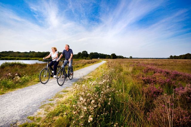 Een stel fietst over de hei op een zonnige dag.