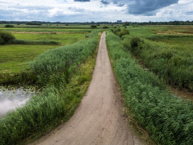 Zandpad door Het Bossche Broek