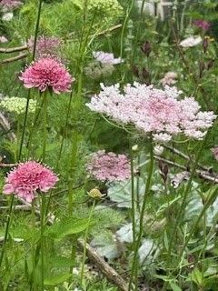 Tuin aan het Leusveld 1