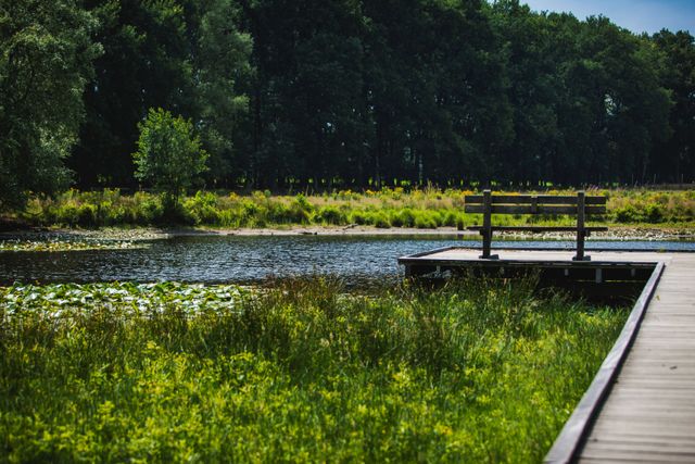 Heidebloemplas steiger