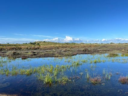 Vlieland